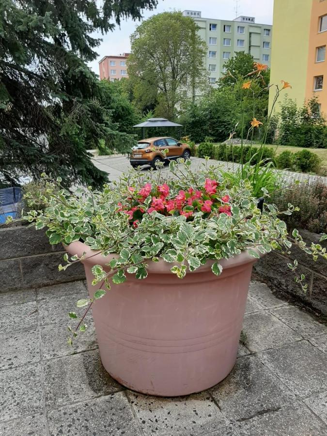Zluty Apartman A6 V Chomutove Lejlighed Eksteriør billede